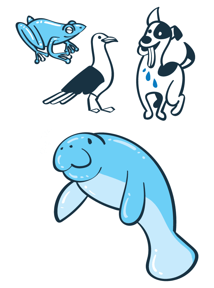 Ilustração do volume 1 — Rã, gaivota, cachorro e peixe-boi