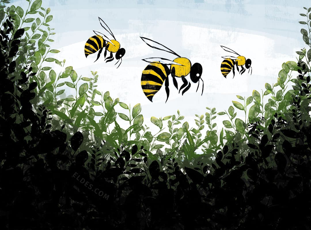 Ilustração para "A floresta"